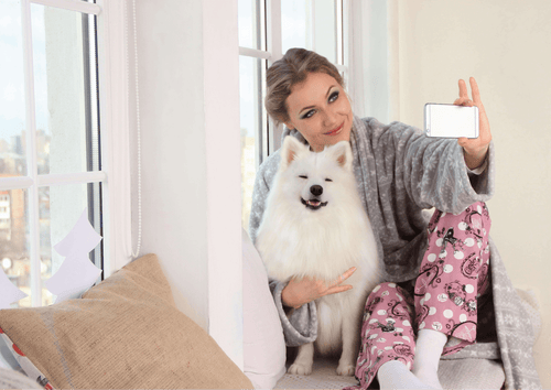5 Best Dog Shampoos For Soothing Your Pup’s Skin